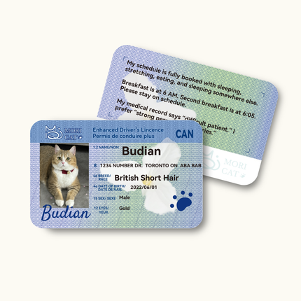 Custom Pet Driver-Style ID Card