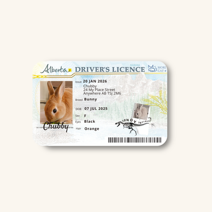Custom Pet Driver-Style ID Card