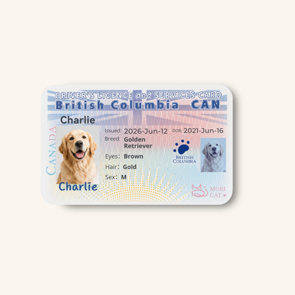 Custom Pet Driver-Style ID Card