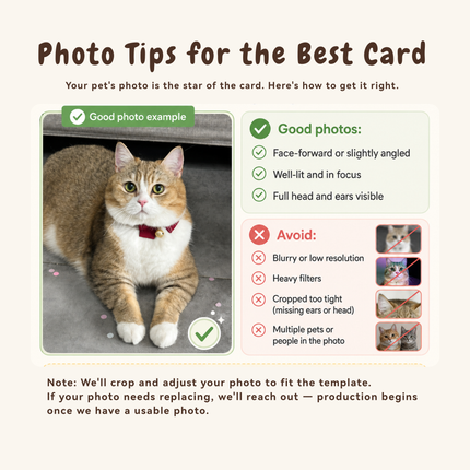 Custom Pet Driver-Style ID Card