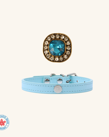 MoriCat Aquamarine Jewel for Grey Fur Cats