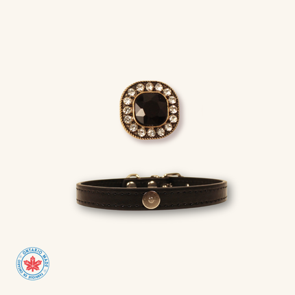 Collection image for: One Collar + One Charm -Group by Colors