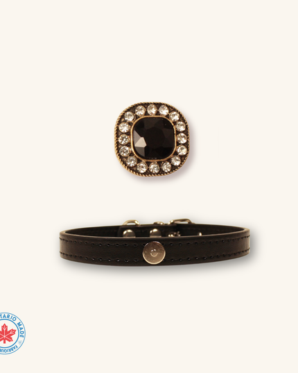 MoriCat Black Jewel for White Fur Cats