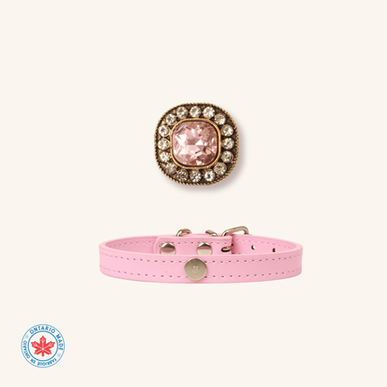 MoriCat Rose Jewel for Grey Fur Cats