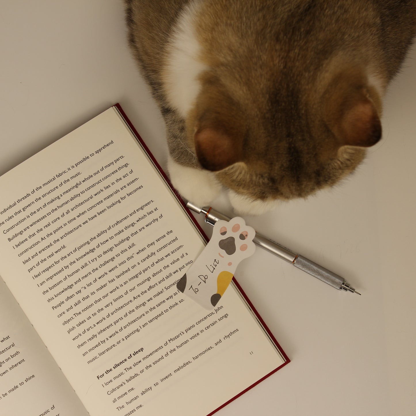 Stay Pawsitive – Sticky Notes