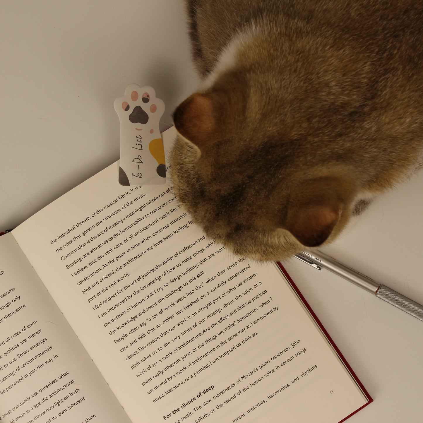 Stay Pawsitive – Sticky Notes