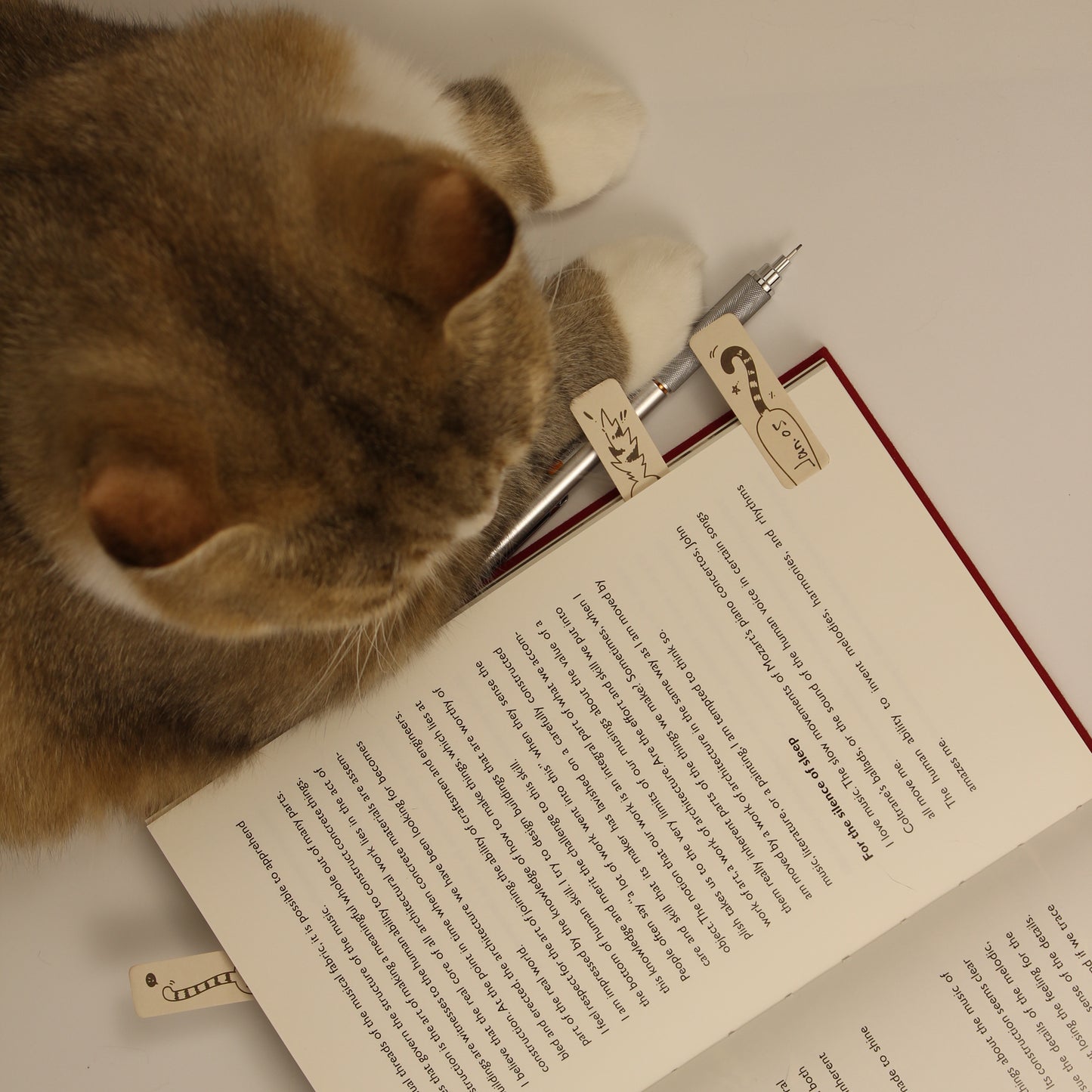 Tail Language – Bookmark Sticky Notes