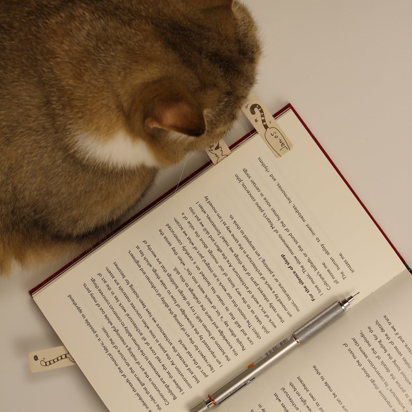 Tail Language – Bookmark Sticky Notes