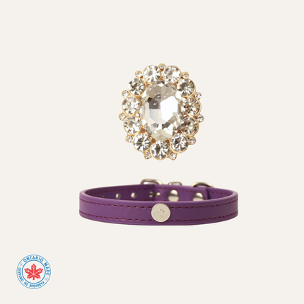 MoriCat Purple Jewel for White Fur Cats