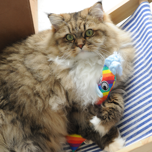 MoriCat Handmade Sensory(Catnip|Silvervine) Kicker -Rainbow