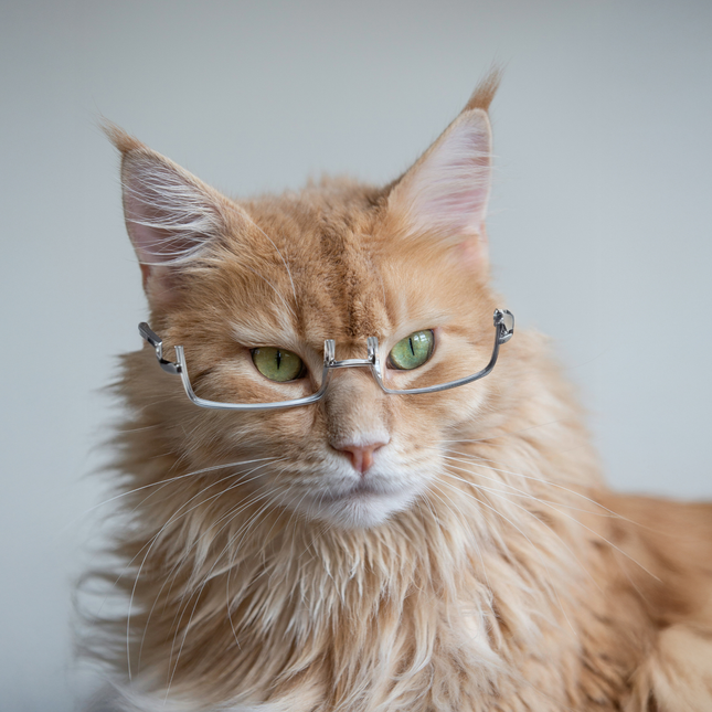 MoriCat Half Frame Metal Glasses in Silver with No Lens