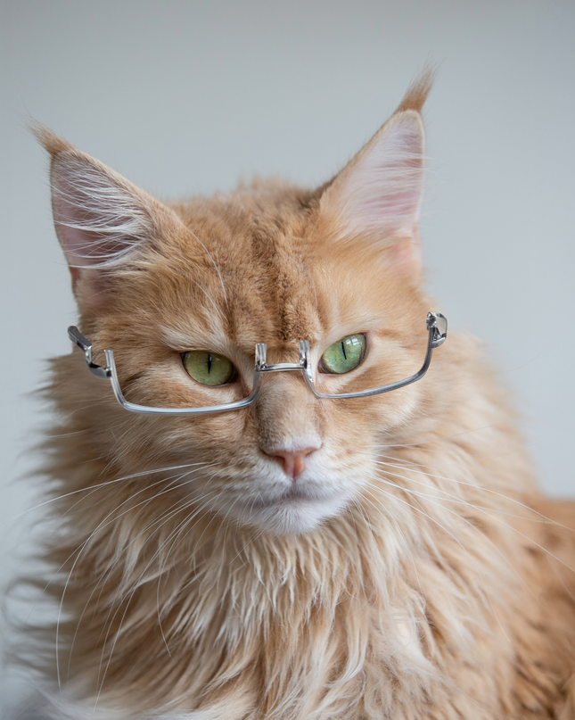 MoriCat Half Frame Metal Glasses in Silver with No Lens