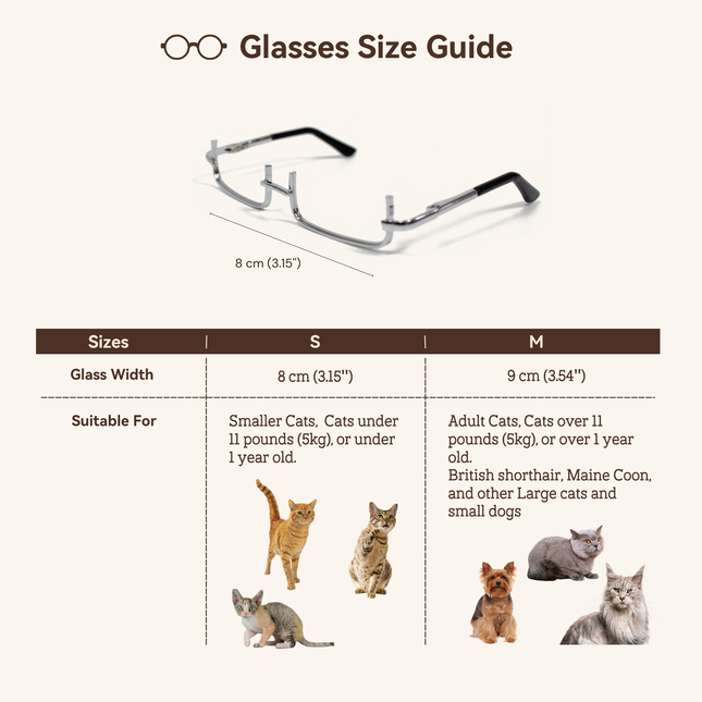 MoriCat Half Frame Metal Glasses in Silver with No Lens