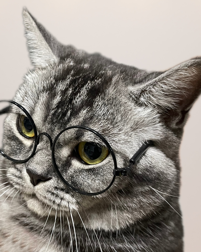 Black Metal Glasses Frame No Lens