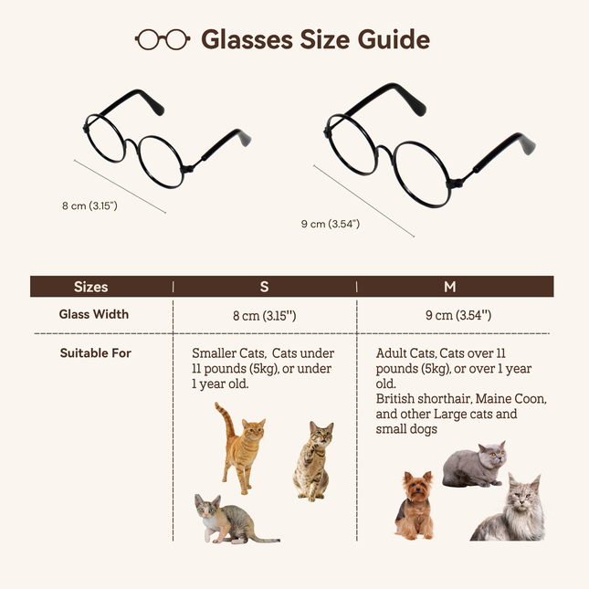 Black Metal Glasses Frame No Lens