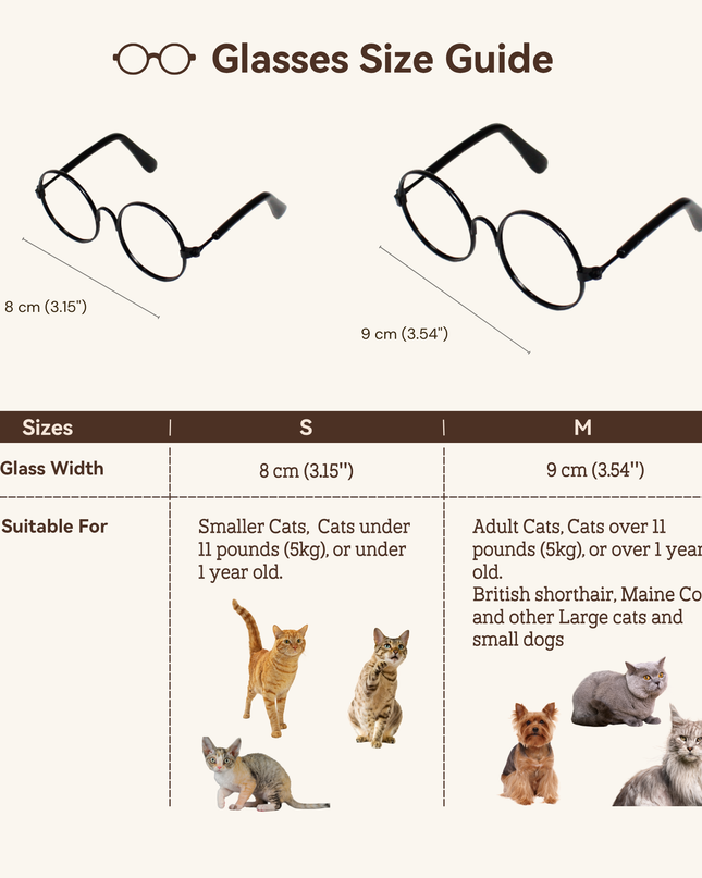 Black Metal Glasses Frame No Lens