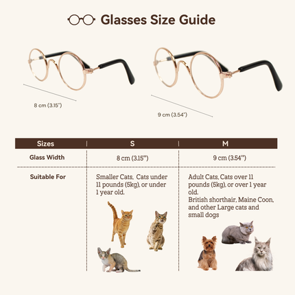 Gold Metal Glasses Frame No Lens
