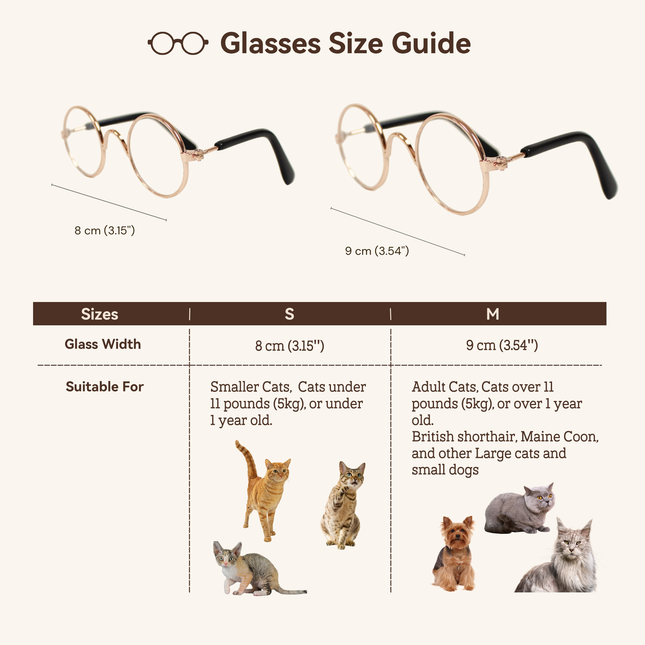Gold Metal Glasses Frame No Lens