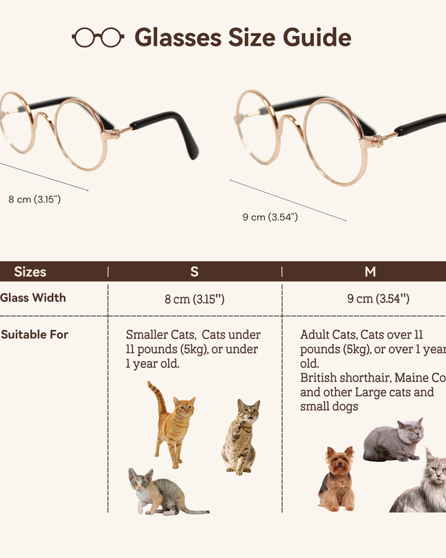 Gold Metal Glasses Frame No Lens