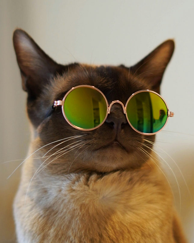 MoriCat Metal Sunglasses with Reflective Yellow Lens