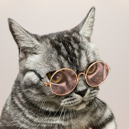 MoriCat Metal Sunglasses with Pink Lens