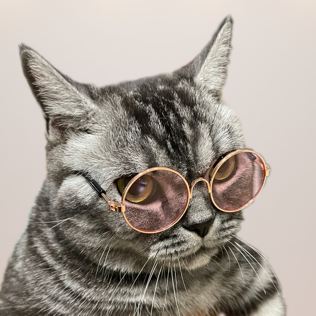 MoriCat Metal Sunglasses with Pink Lens