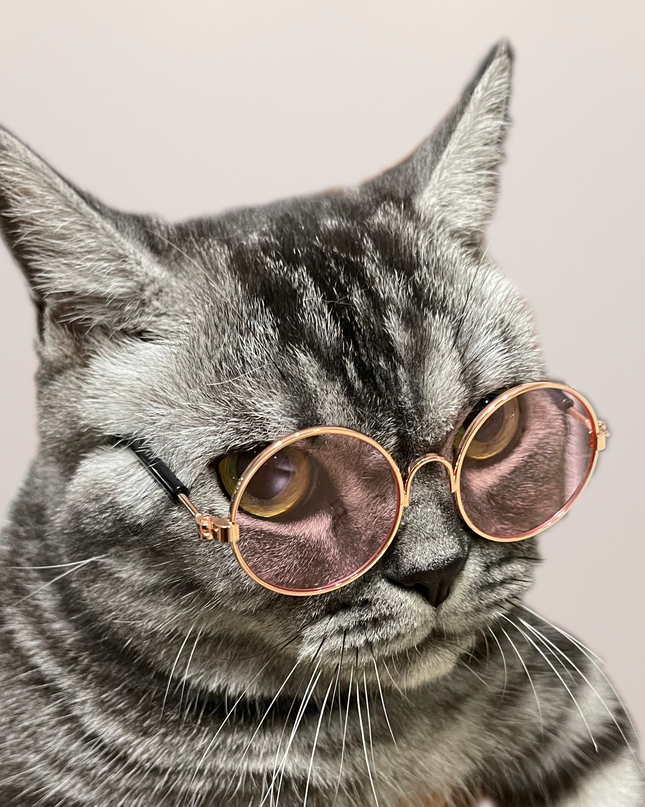 MoriCat Metal Sunglasses with Pink Lens