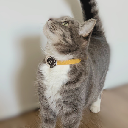 Single Patch One press. One event covered. —  MoriCat Purrmone Press (Cat Pheromone)