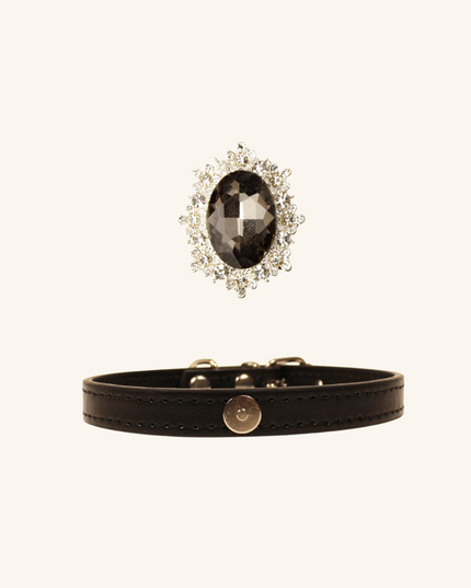 MoriCat Black Jewel for White Fur Cats