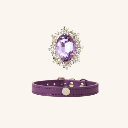 MoriCat Purple Jewel for White Fur Cats