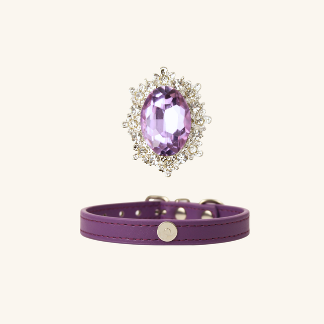 MoriCat Purple Jewel for White Fur Cats