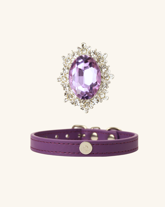 MoriCat Purple Jewel for White Fur Cats