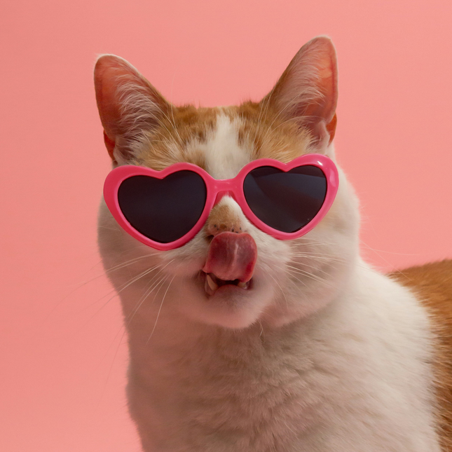 MoriCat Hot Pink Heart Shaped Plastic Sunglasses with Black Lens