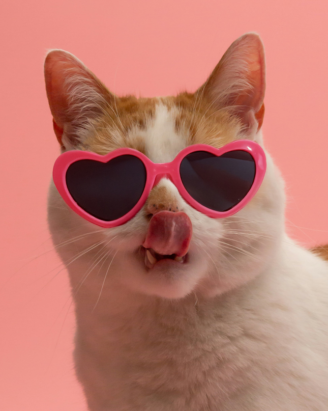 MoriCat Hot Pink Heart Shaped Plastic Sunglasses with Black Lens