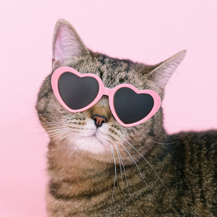 MoriCat Pink Heart Shaped Plastic Sunglasses with Black Lens