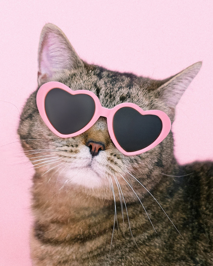 MoriCat Pink Heart Shaped Plastic Sunglasses with Black Lens
