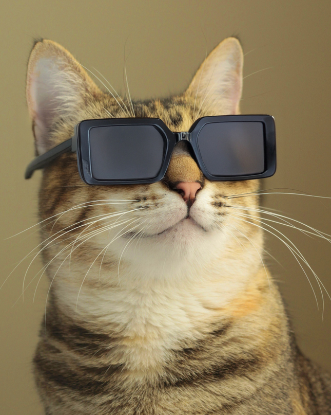 MoriCat Square Black Sunglasses with Black Frame and Black Lens