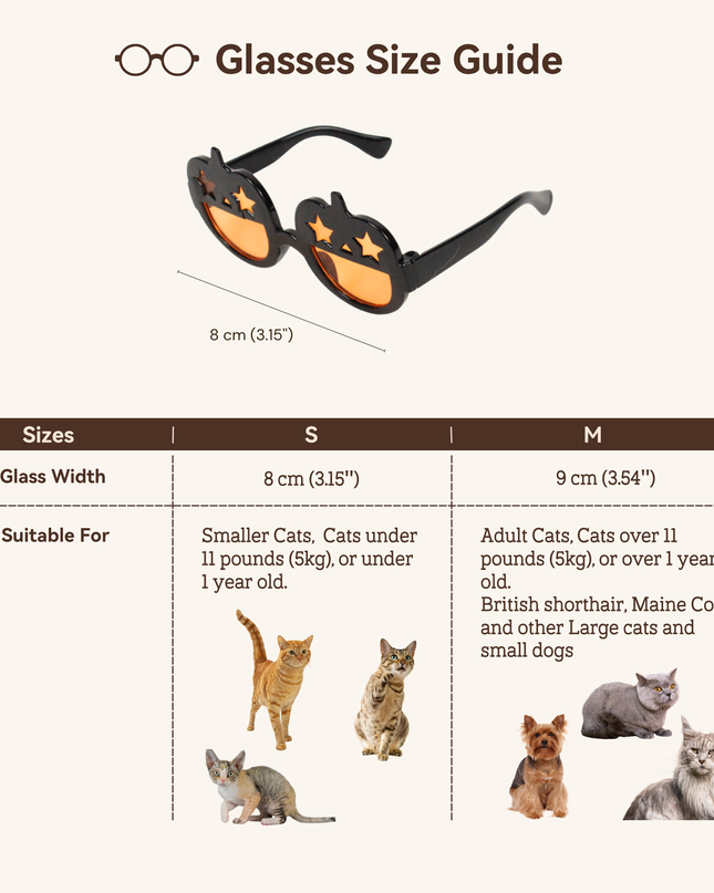 MoriCat Halloween Black Pumpkin Sunglasses with Black Lens