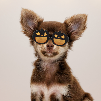 MoriCat Halloween Black Pumpkin Sunglasses with Black Lens