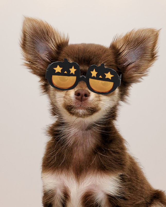 MoriCat Halloween Black Pumpkin Sunglasses with Black Lens