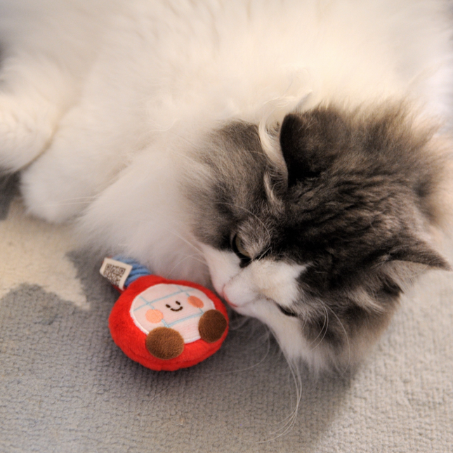 A fluffy long-haired cat with white and gray fur lies on a gray carpet, gently biting a small red plush toy with a cartoon face.