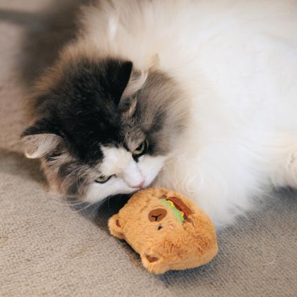 A fluffy long-haired cat with white, gray, and black fur lies on a beige carpet, gently biting a small plush brown toy shaped like a bear head with a green and orange accent.