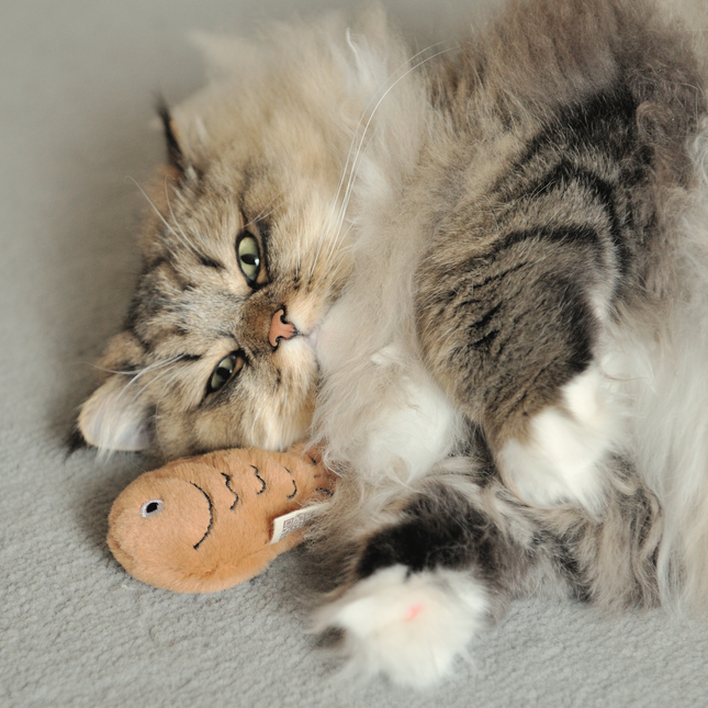 MoriCat Premium Catnip Toy — Cocoa Fish