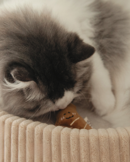 MoriCat Premium Catnip Toy — Croissant