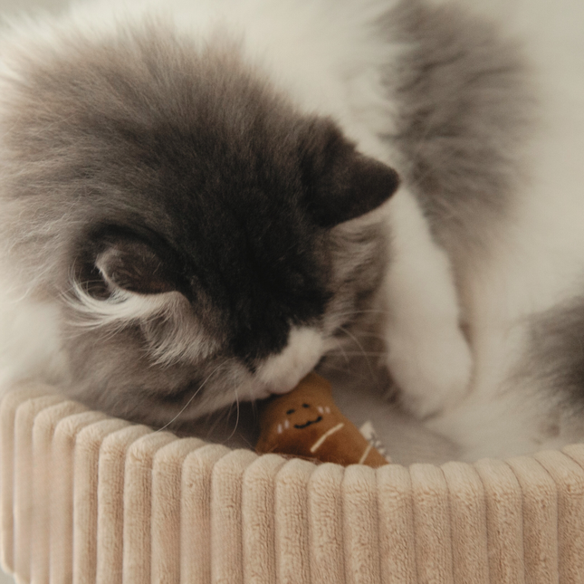 MoriCat Premium Silvervine Toy — Croissant