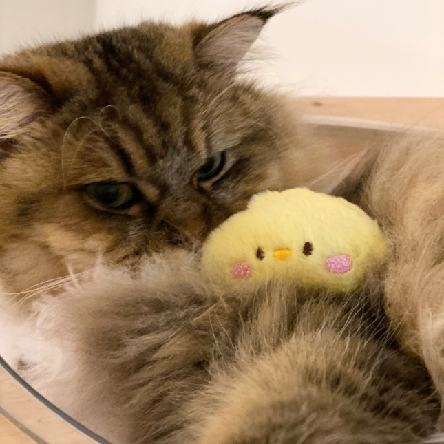 A fluffy brown tabby cat resting closely with a small yellow plush chick toy with pink cheeks.