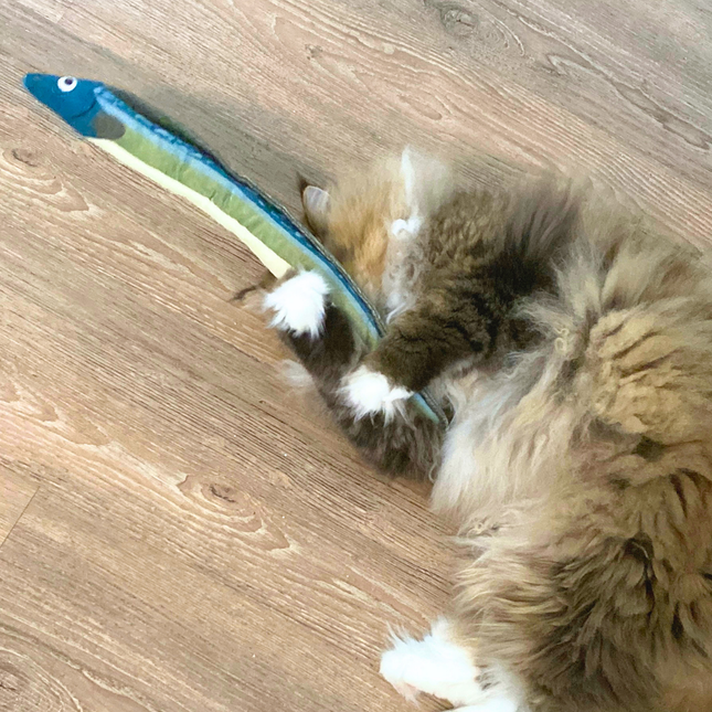 A fluffy long-haired cat lies on a light wood floor, playfully wrestling with a blue and green snake-shaped toy.