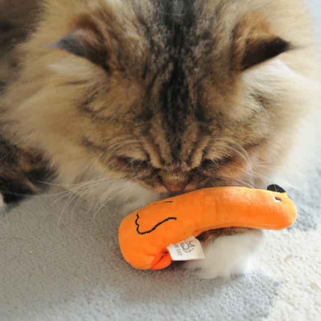 A fluffy brown and white cat lying down and biting an orange plush toy with a black stitched smiley face on a light gray blanket.