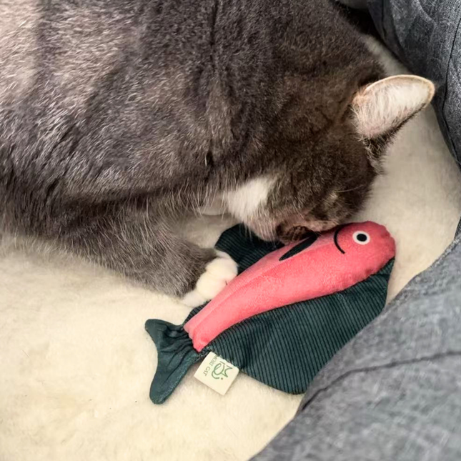 A gray cat lies on a cream-colored cushion, playfully biting a pink and dark green fish-shaped plush toy.