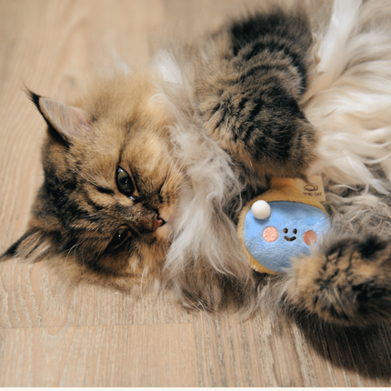 A fluffy long-haired cat lies on a light wood floor, playfully batting at a small blue and yellow plush toy with a cartoon face.